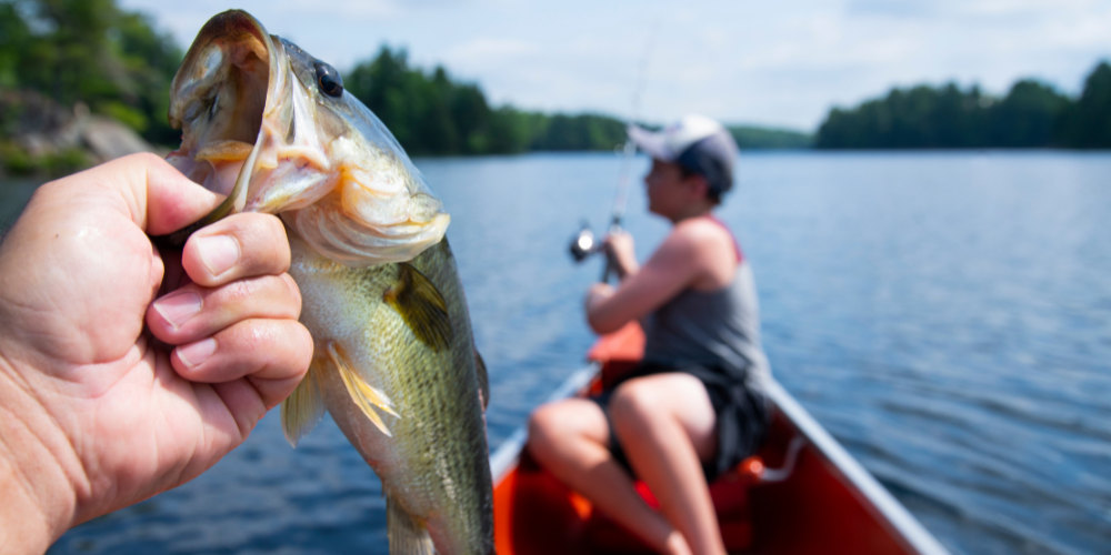 bass fishing techniques